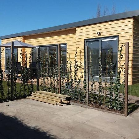 luxe Vakantie bungalow met 3 slaapkamers Dronrijp Bagian luar foto